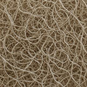 Naturalne bielone korzonki dekoracyjne 0,5 l – susz florystyczny do stroików, bombek, wianków, GrandDeco