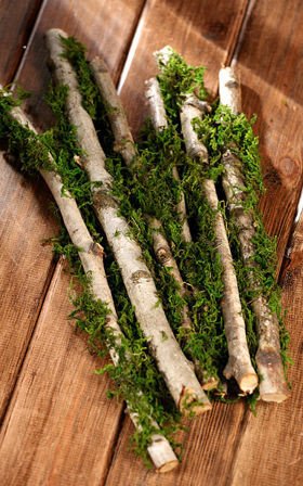 Birch with moss, 40 cm, 6 pcs/pkg, 1-3 cm