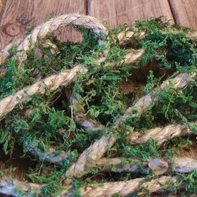 Decorative rope prepared moss - 200 cm