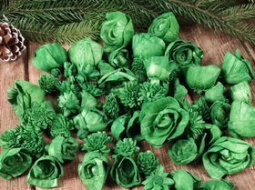 Dried salt flowers 45-50 pcs / pack - green