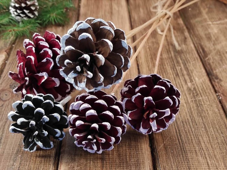 A bouquet of winter cones with whitened edges