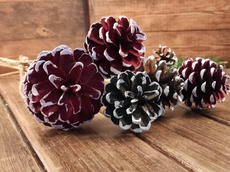 A bouquet of winter cones with whitened edges