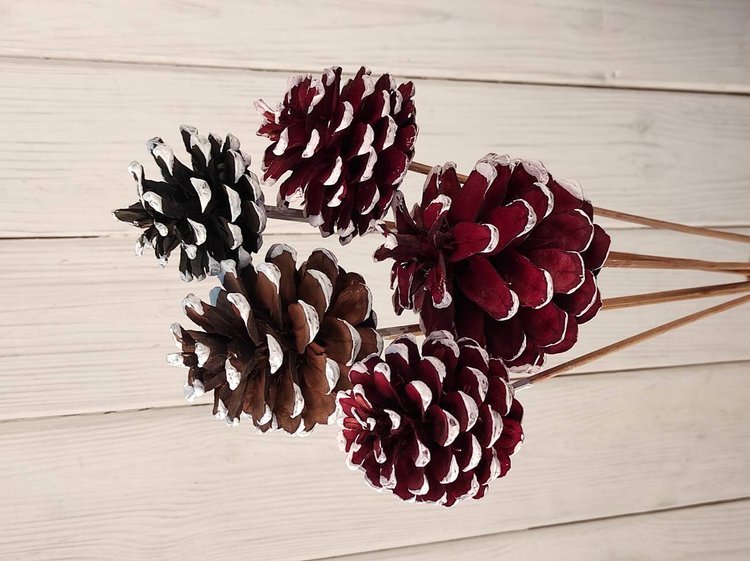 A bouquet of winter cones with whitened edges