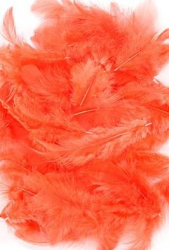 Feathers 10 g - orange