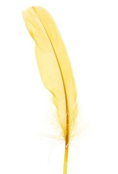 Feathers 19 cm 10 pcs/pkg - yellow