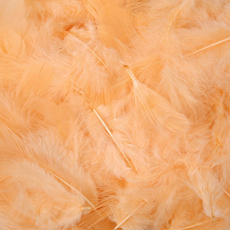 Feathers in box ca. 200 pcs/pkg - peach