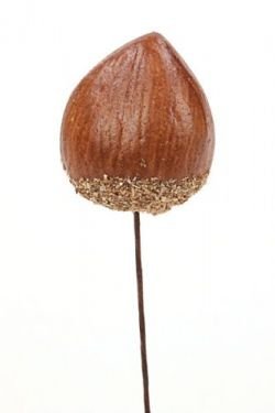 Hazelnut on wire 24 pcs/pkg