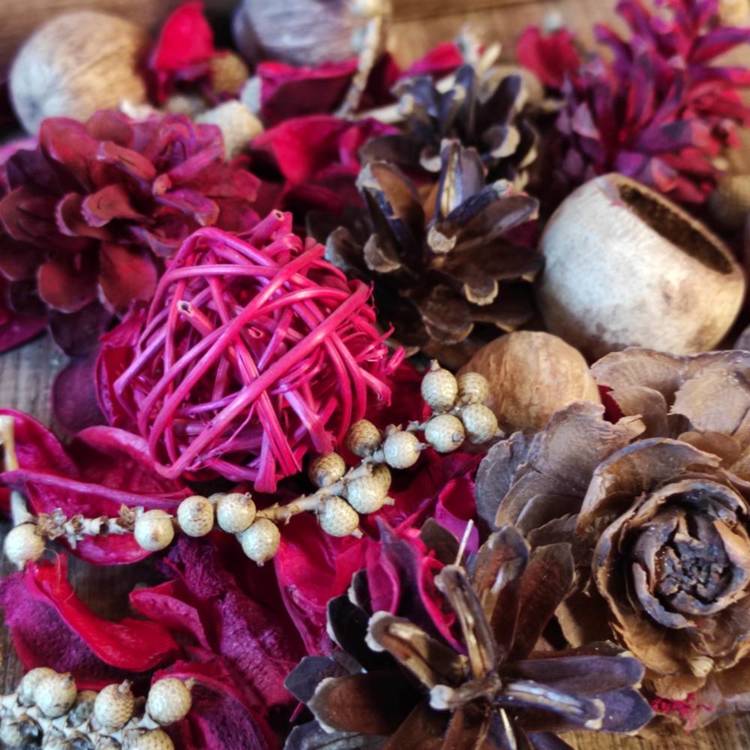 Natural Summer Potpourri 