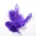 Feathers ca. 200 pcs - navyblue-purple