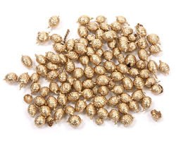  Canella Frucht (30g) golden