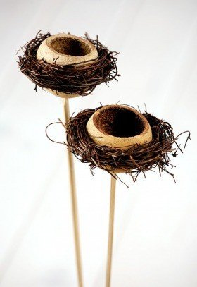 Nest of branches and lignifed hull on stick