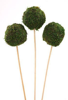 Set od 3 Moss balls (5cm) on a stick