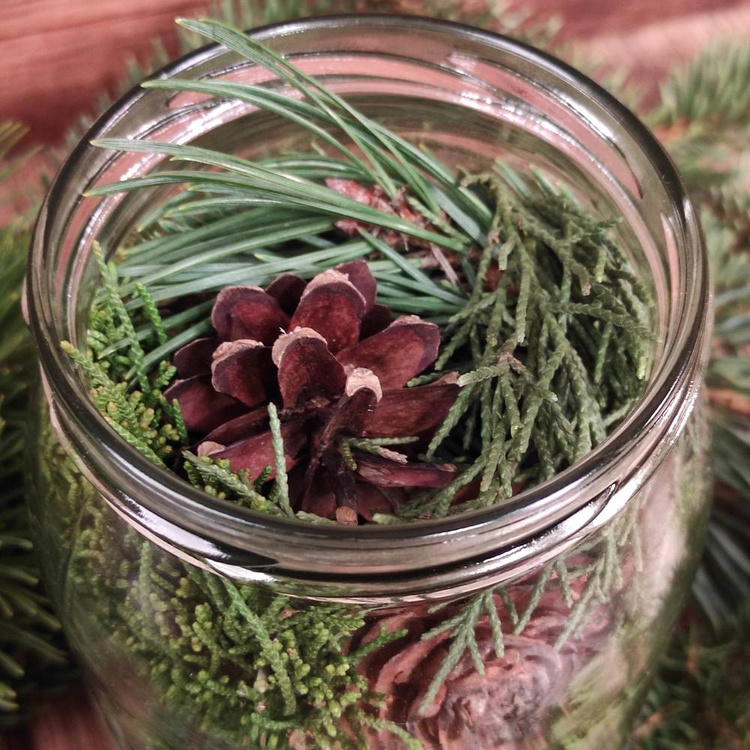 Wald in einem Glas 