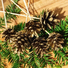 Zapfen auf Holzspitze golden 6 Stück / Packung