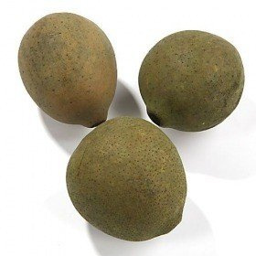 Mat Lignified fruit ball 6-8 cm, green