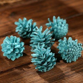 Mountain pine cone, 12 pcs/pkg blue