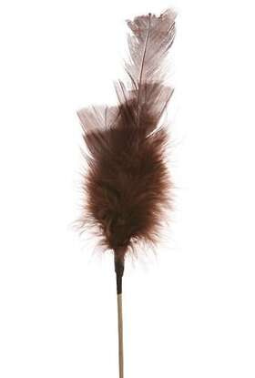 Feathers on stick (3 pcs) 34 cm, brown