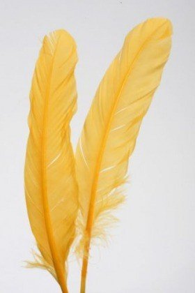 Feathers 19 cm 10 pcs/pkg - yellow