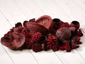 Claret set of dried plants