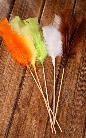 Long Feathers mix 5pcs/pkg