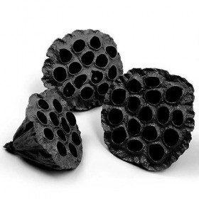 Lotus dyed diameter 6-8 cm 6 pcs/pkg black