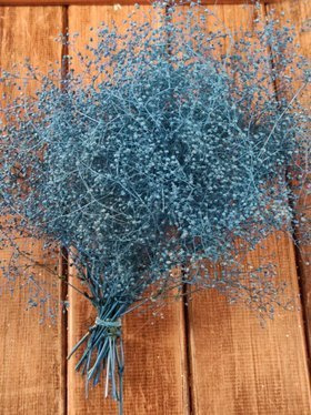 Blue gypsophila bunch