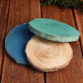 Wood slice for decoration, birch 10-12 cm thick. 1-2 cm pack of 3