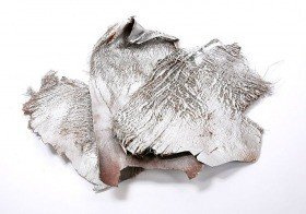 Palm bark silver 4