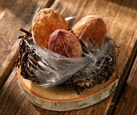 Nest of fragrant ecological hay with quail eggs on birch 15/15 cm