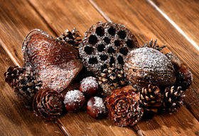 Snowy set of dried plants