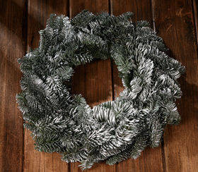 Wreath of Siberian spruce lightly silvered ca.30cm