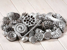 Silver set of dried plants