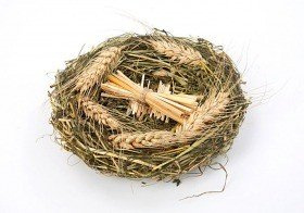 Natural nest, 15 cm