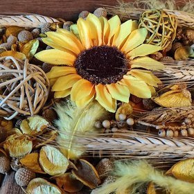 Natural Summer Potpourri