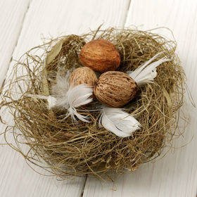 Woody nest 12-15 cm