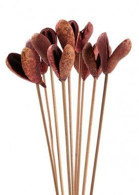 Jaws on stick, 10 pcs/pkg - brown