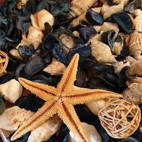 Potpourri Nature shells, starfish, dried plants