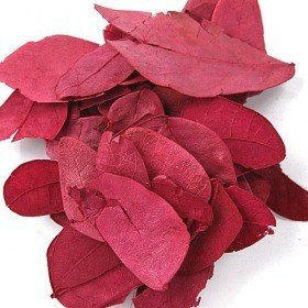 Dried Claret Leaves about 850pcs/pkg