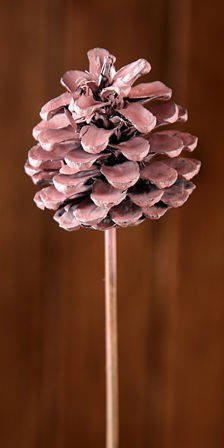 Cone on stick, 3pcs/pkg 7cm/50cm- pink