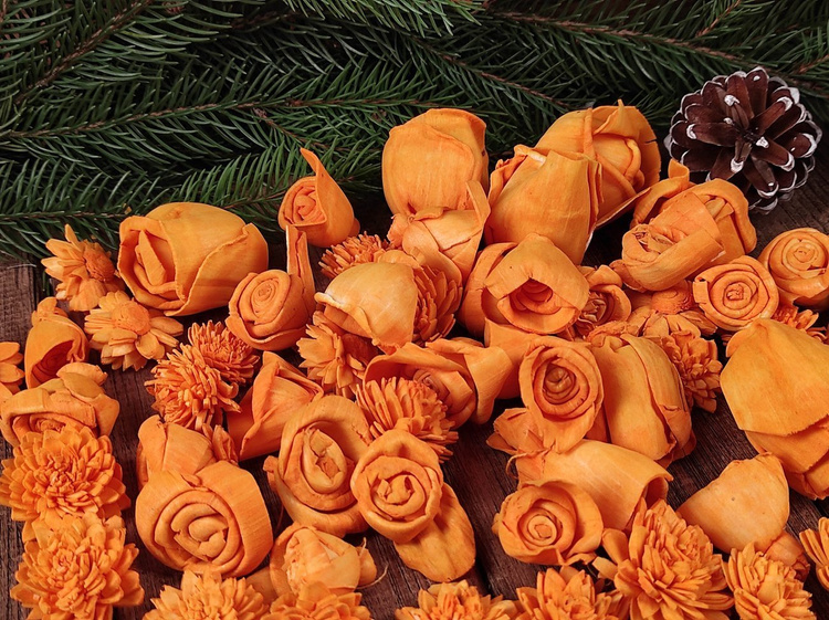 Dried salt flowers 45-50pcs / pack -intense oranges