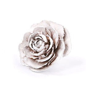 Cedar Wood Roses 6 pcs./pack bleached lacquered