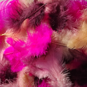 Feathers in box - dark pink