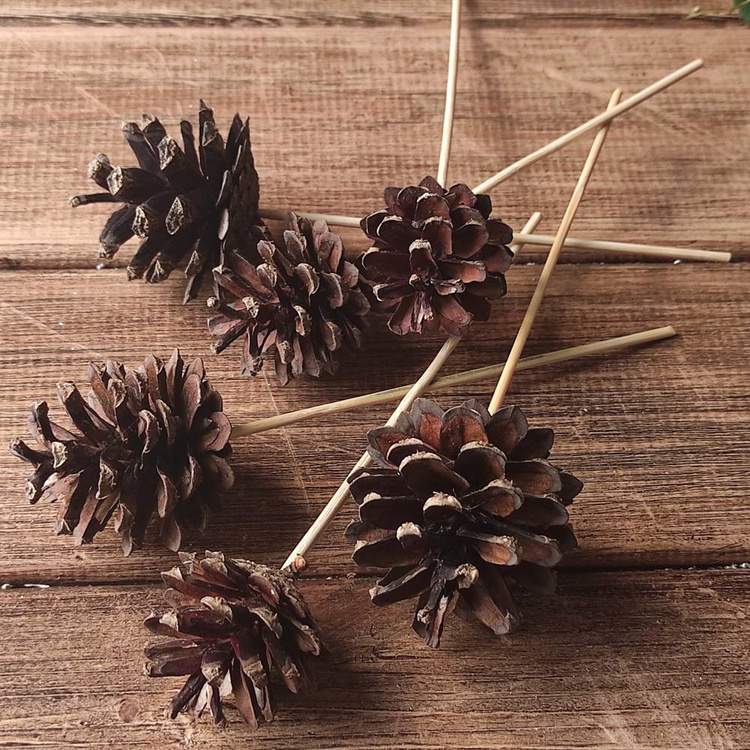 Cones on a wooden peak 6 pcs / pack 