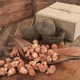 coconut set of coconut shells, coconut husk, coconut palm bark, salt flowers