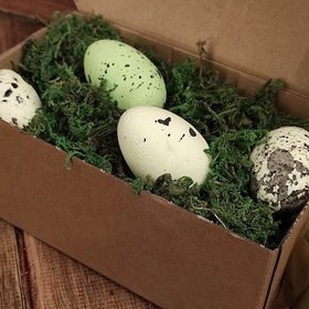 Styrofoam eggs, 6 cm, colored in prepared moss