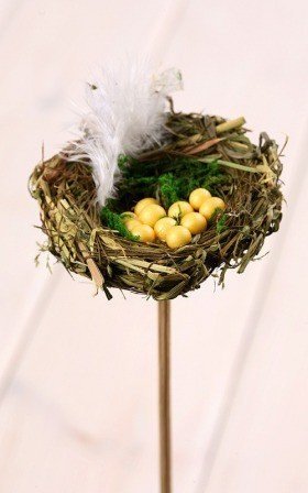 Natural nest with eggs on stick