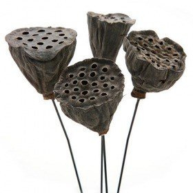 Lotus on wire, mini, diameter 2-3 cm, 10 pcs/pkg