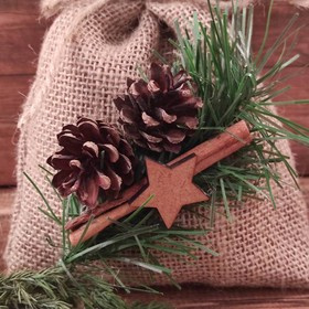 Winter potpourri with cinnamon, pine cones, anise