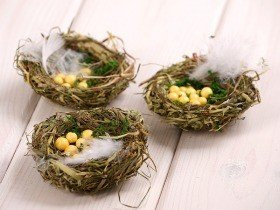 Natural nest with eggs 6-8cm