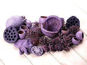 Purple set of dried plants